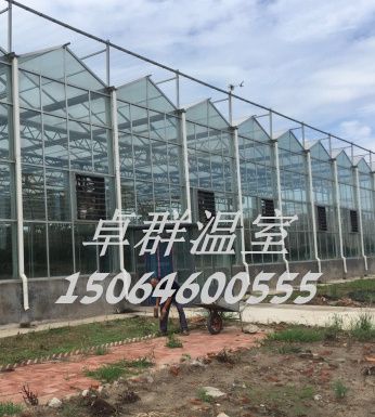 山東省臨沂市紋絡玻璃溫室